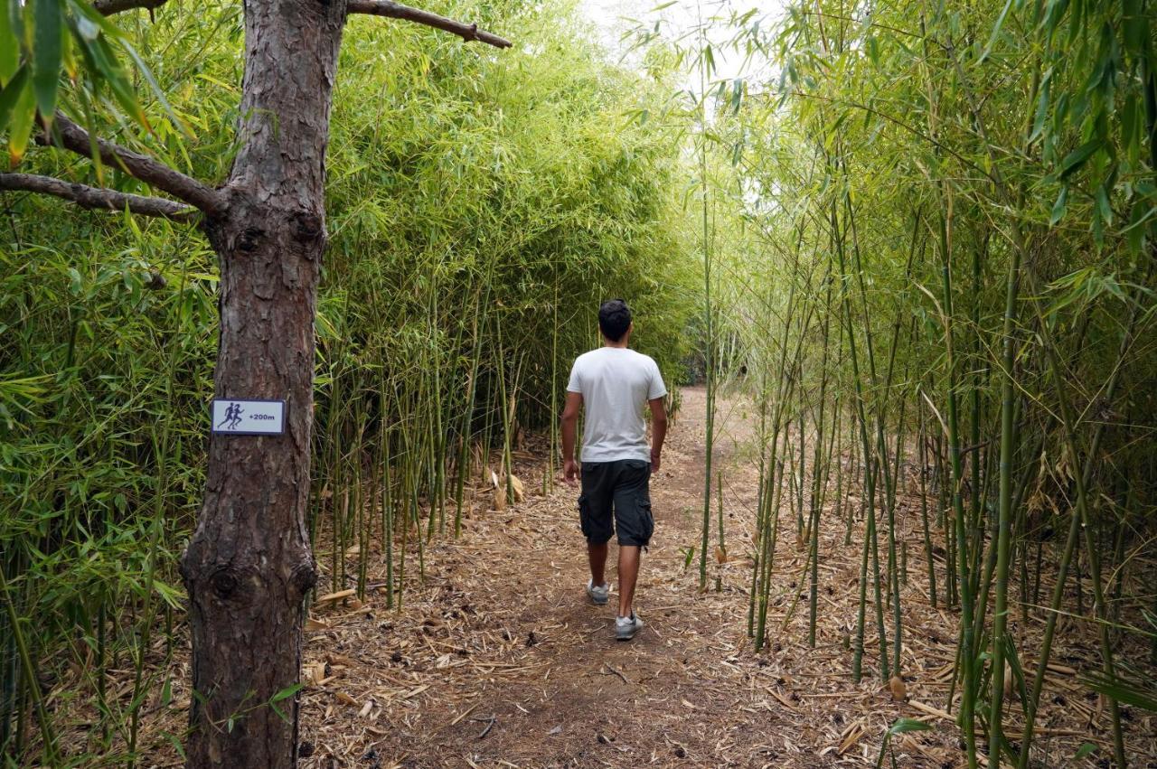 ไฮแอท รีเจนซี เทสซาโลนิกี Hotel เทสซาโลนิกิ ภายนอก รูปภาพ Bamboo forest in the park